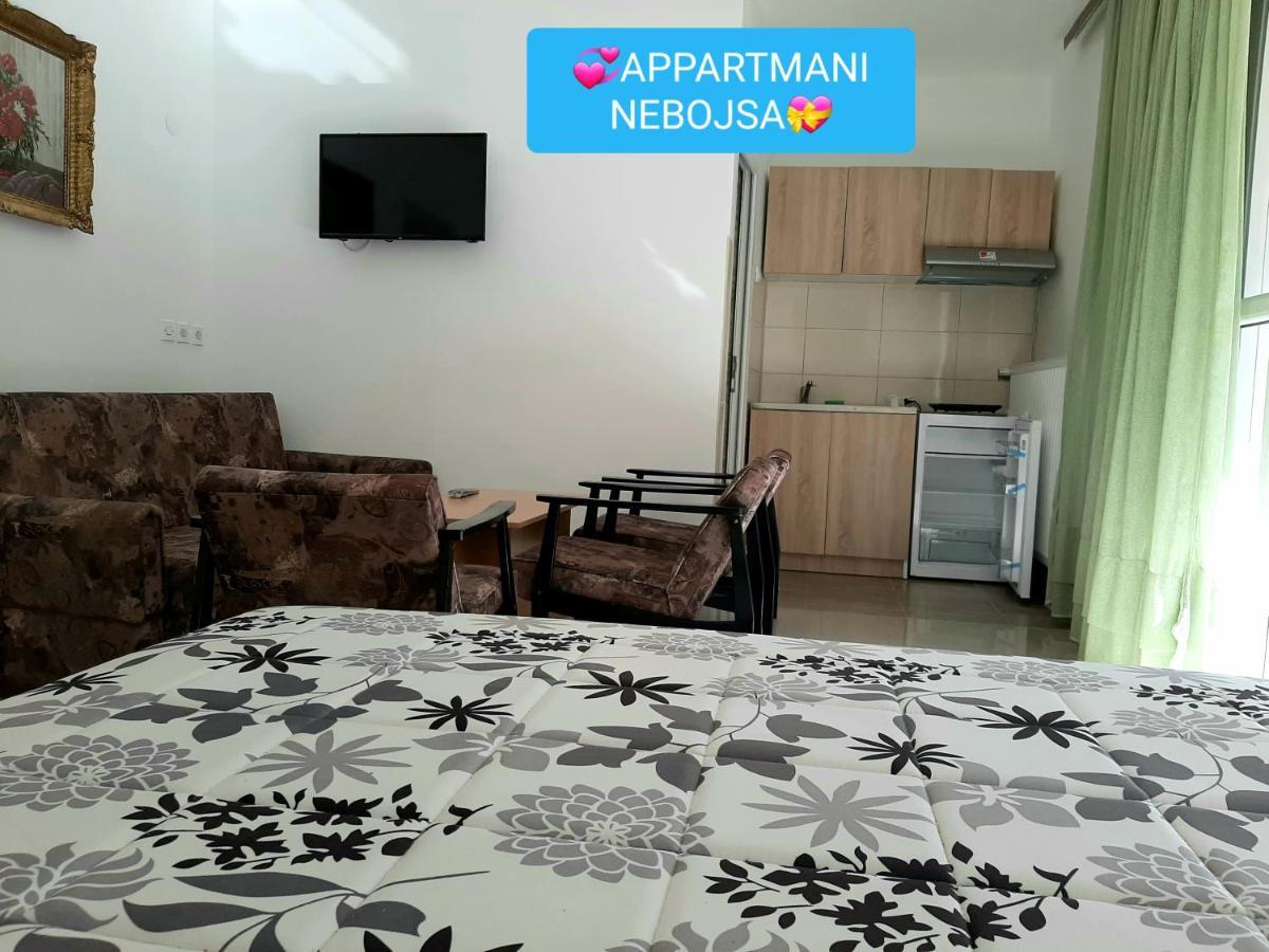 Apartments Nebojsa Sokobanja Kültér fotó