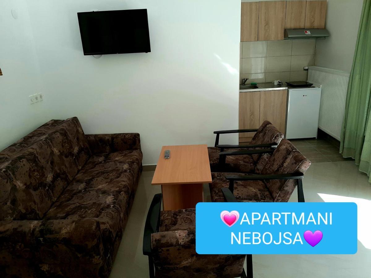Apartments Nebojsa Sokobanja Kültér fotó
