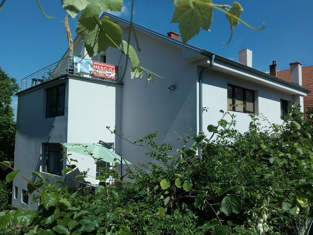 Apartments Nebojsa Sokobanja Kültér fotó