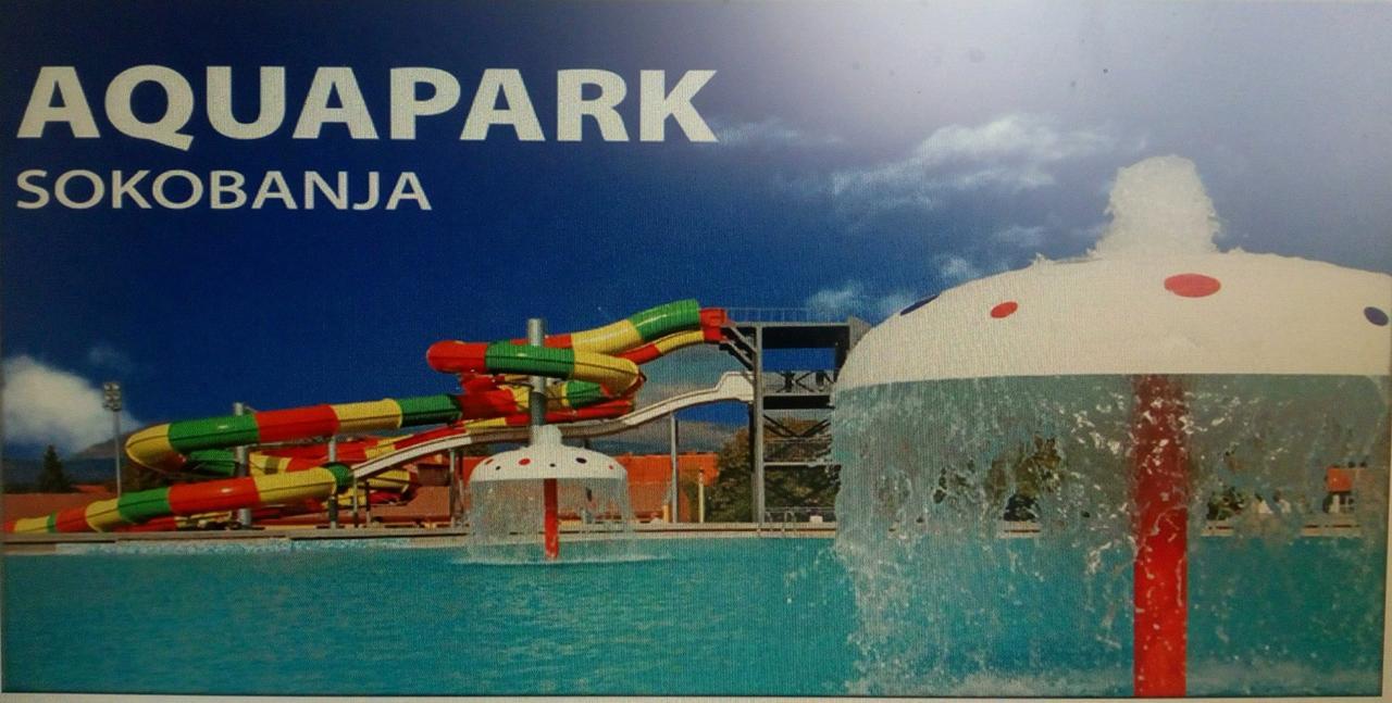 Apartments Nebojsa Sokobanja Kültér fotó