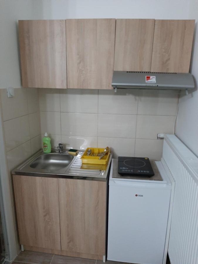 Apartments Nebojsa Sokobanja Kültér fotó